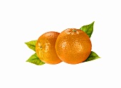 Zwei Orangen vor Orangenblättern