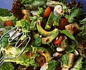 Mixed Green Salad with Avocadoes, Tomatoes and Mushrooms