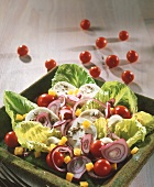 Romaine lettuce, mozzarella, cherry tomatoes, caraway & onion