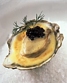 Oysters a la crème with dabs of caviare and dill