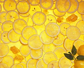 Lemon slices (filling the picture)
