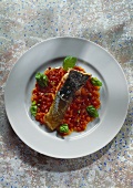 Fried shining carp on onions and tomatoes with basil