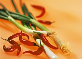 Chili peppers and spring onions on orange background