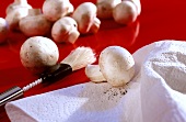 Mushrooms with kitchen paper and brush