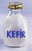 Kefir (Russian yoghurt) in a bottle