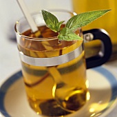 Verbena tea with herb sprig in the glass