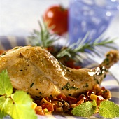 Rabbit with vegetables and herbs on plate