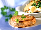Veal steak with spinach and potato gratin and parsley