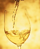Weißwein in ein Glas einschenken