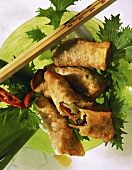 Spring rolls with vegetable filling on plate with chopsticks