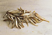 Acquadelles (Ährenfische) auf weißem Holzuntergrund
