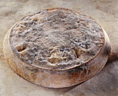 Saint-Nectaire, a French semi-hard cheese