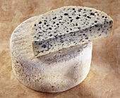 Bleu d Auvergne, French blue cheese