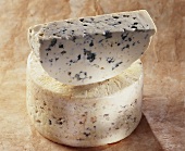 Bleu de Causses, French blue cheese