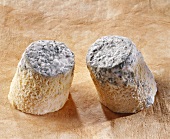 Caboin, a French goat's cheese, on brown background
