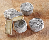 Chevry, a French goat's cheese