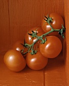 Ripe Tomatoes on a Red Background