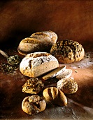 Various wholemeal breads, pumpkin seed bread and rolls