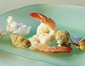 Boiled shrimps and mussels on a green plate