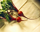 Beetroot with leaves