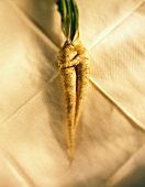Fresh parsnips on table cloth