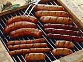 Various sausages on the grill