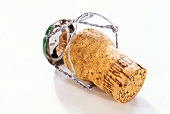 Champagne corks with wire on a white background
