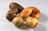 Verschiedene Kartoffelsorten auf weißem Untergrund