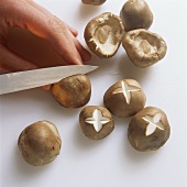 Cutting crosses into mushroom caps