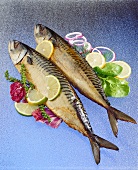 Two smoked mackerel, garnished with lemons and lettuce