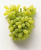 Green table grapes on a white background