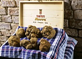 White truffles from Alba, presented on a wooden box 