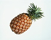 Eine Ananas