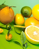 Various citrus fruits on a green background