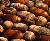 Various dark breads (filling the picture)