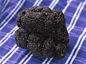 Fine black truffle on a blue and white checked cloth