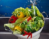 Salat mit Paprika- und Chilischoten im Sieb waschen
