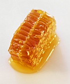 Honeycomb with honey on a white background