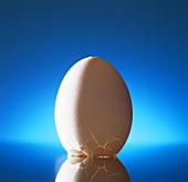 Ei mit zerbrochener Schale auf blauem Untergrund