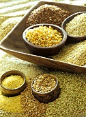 Still life with various types of grain