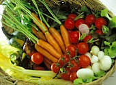 Radishes, carrots, onions etc in basket