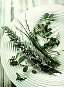 Various fresh herbs on plate