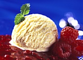 Vanilla Ice Cream; Raspberries