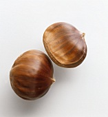 Two sweet chestnuts