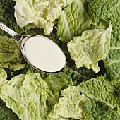 Garnish for quail: savoy and a spoonful of cream