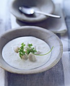Riesling soup with pike-perch dumplings and sprig of chervil