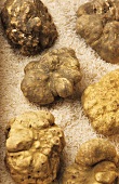 White truffles on long-grain rice