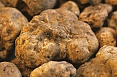 Truffles (filling the picture)