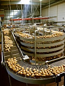 Baguette rolls on cooling line at large-scale bakery