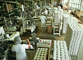Produktionshalle mit Maschinen zum Verpacken von Brie-Käse